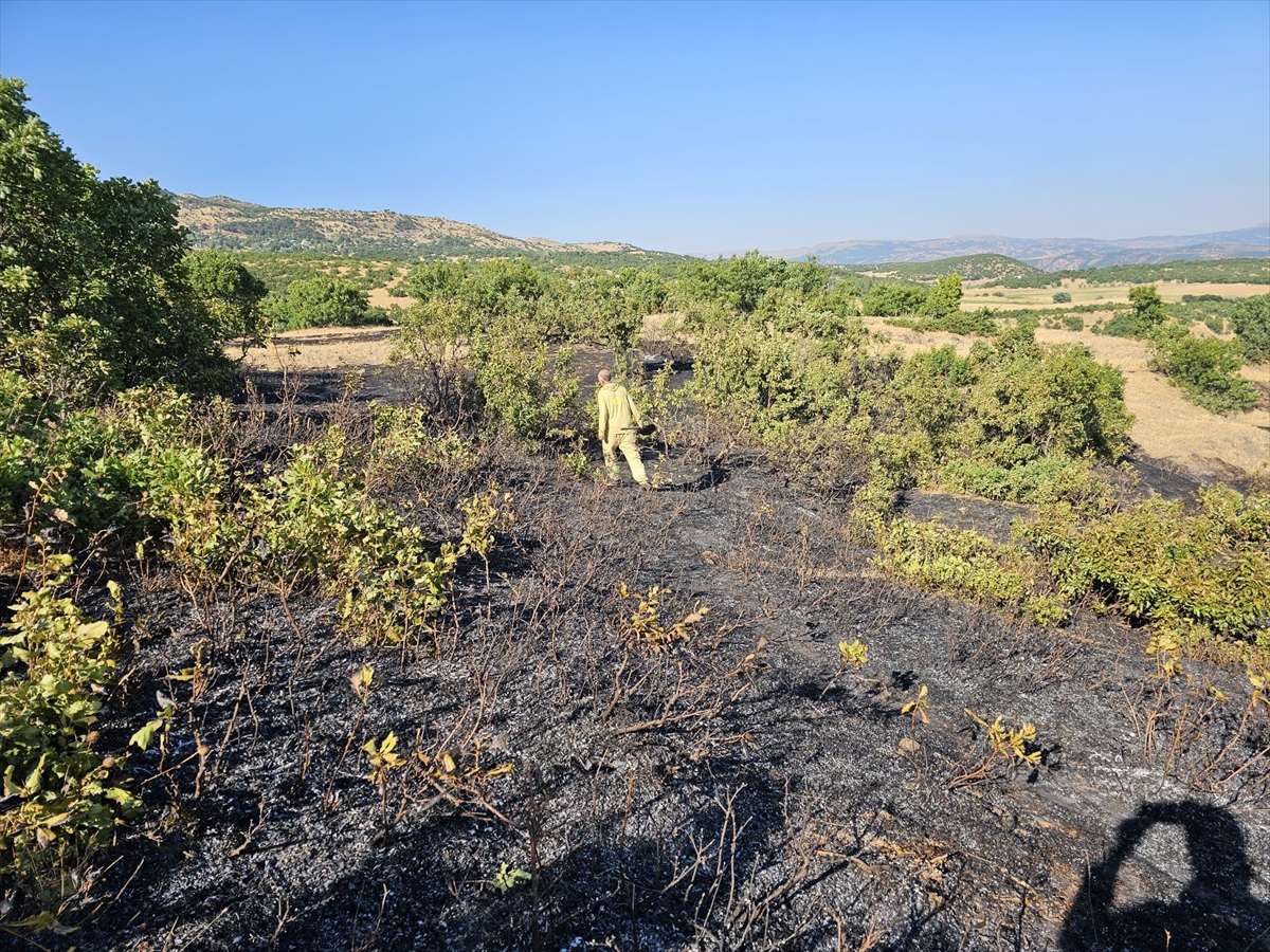 Bingöl'deki orman yangınları kontrol altına alındı