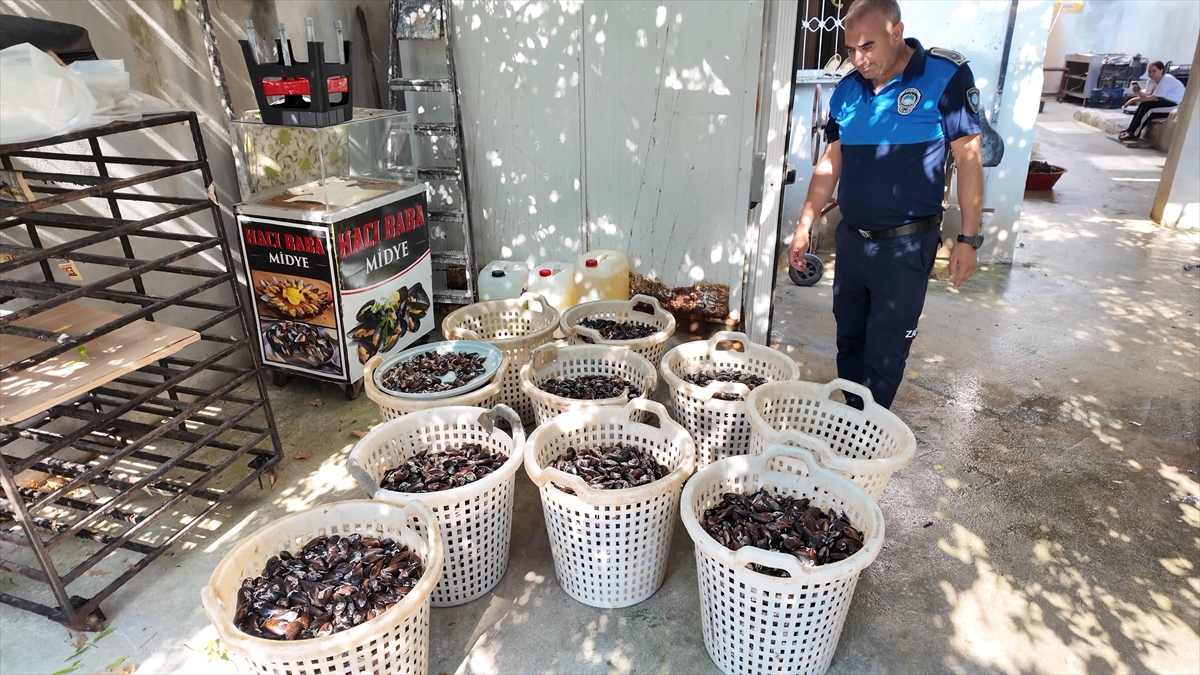 Mersin'de ele geçirilen 200 kilogram bozuk midye dolma imha edildi