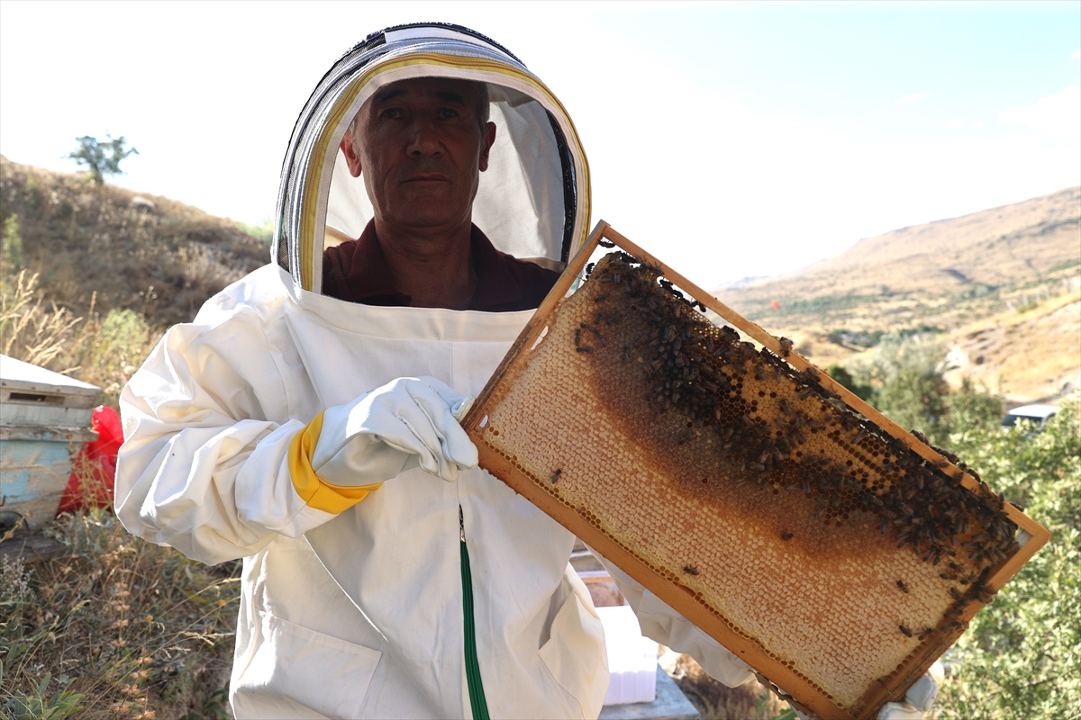 Hobi olarak başladığı bal üretiminde Kapadokya'nın endemik zenginliğini markaya dönüştürdü