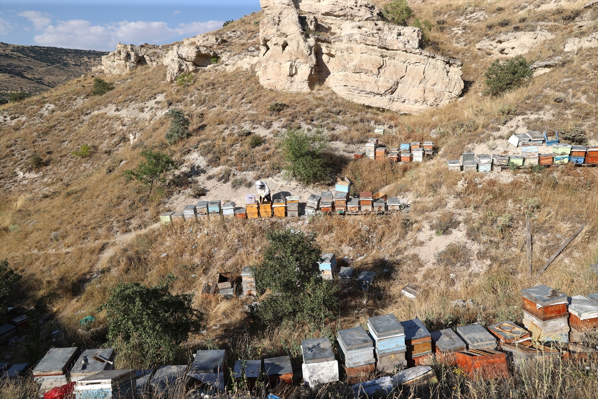 Hobi olarak başladığı bal üretiminde Kapadokya'nın endemik zenginliğini markaya dönüştürdü