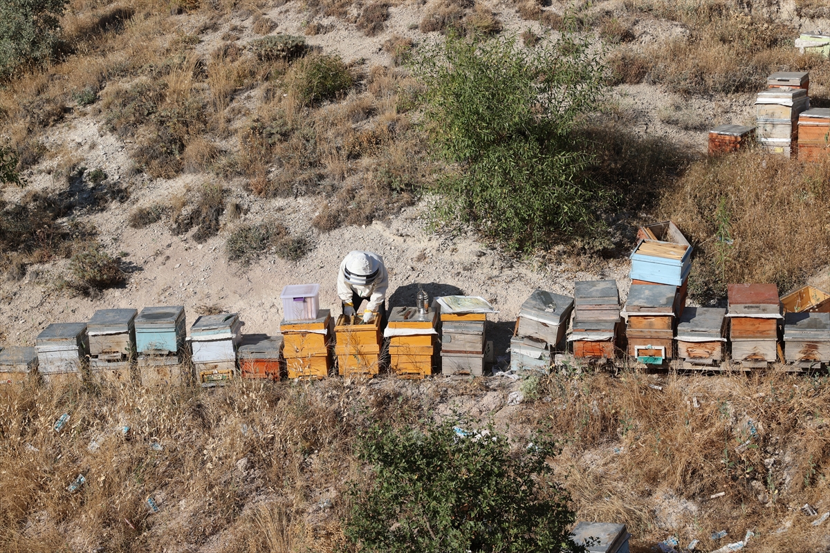 Hobi olarak başladığı bal üretiminde Kapadokya'nın endemik zenginliğini markaya dönüştürdü