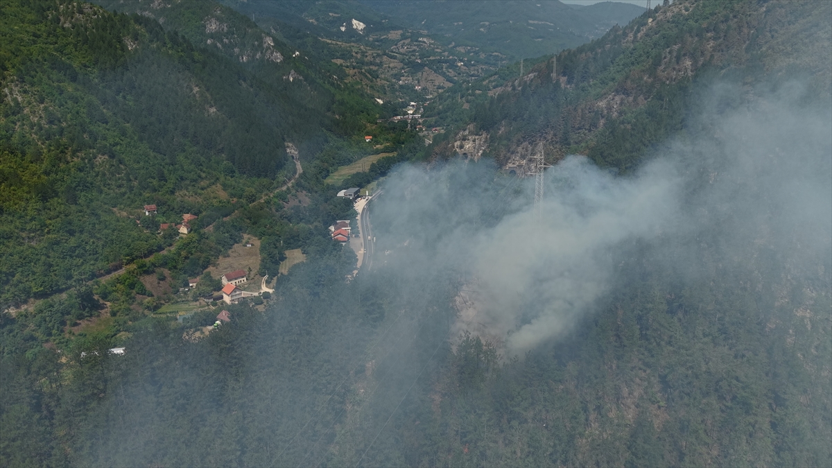 Bosna Hersek Orman Yangınları: Askeri Helikopterler Devrede