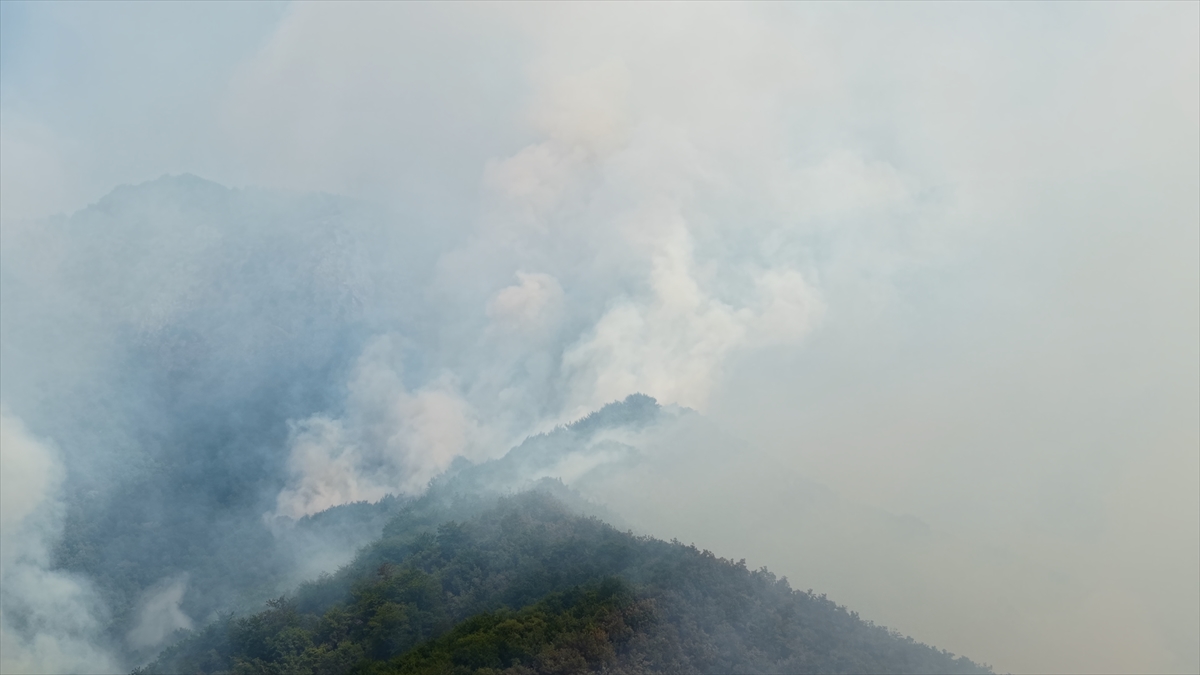 Bosna Hersek Orman Yangınları: Askeri Helikopterler Devrede