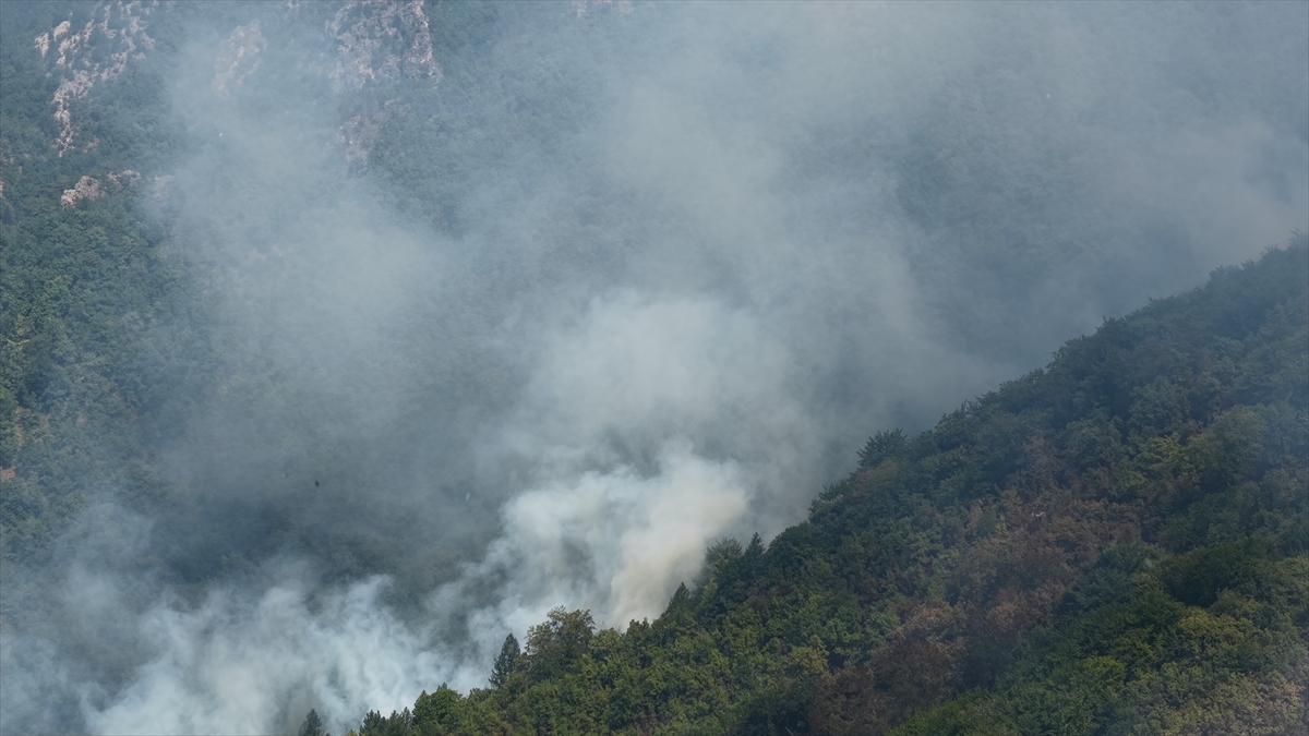 Bosna Hersek Orman Yangınları: Askeri Helikopterler Devrede