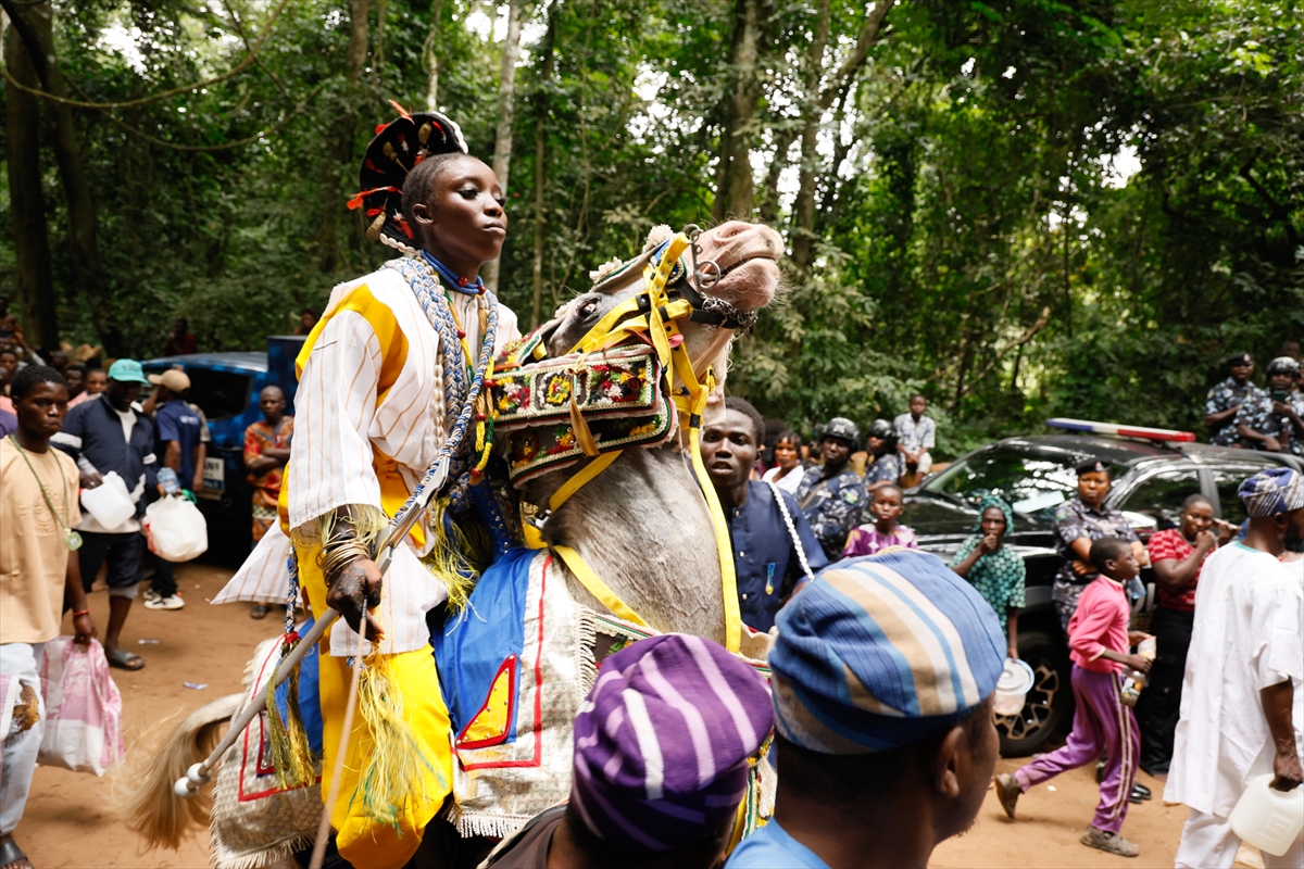 Nijerya'da Osun-Osogbo Festivali: Kültürel Miras Kutlandı