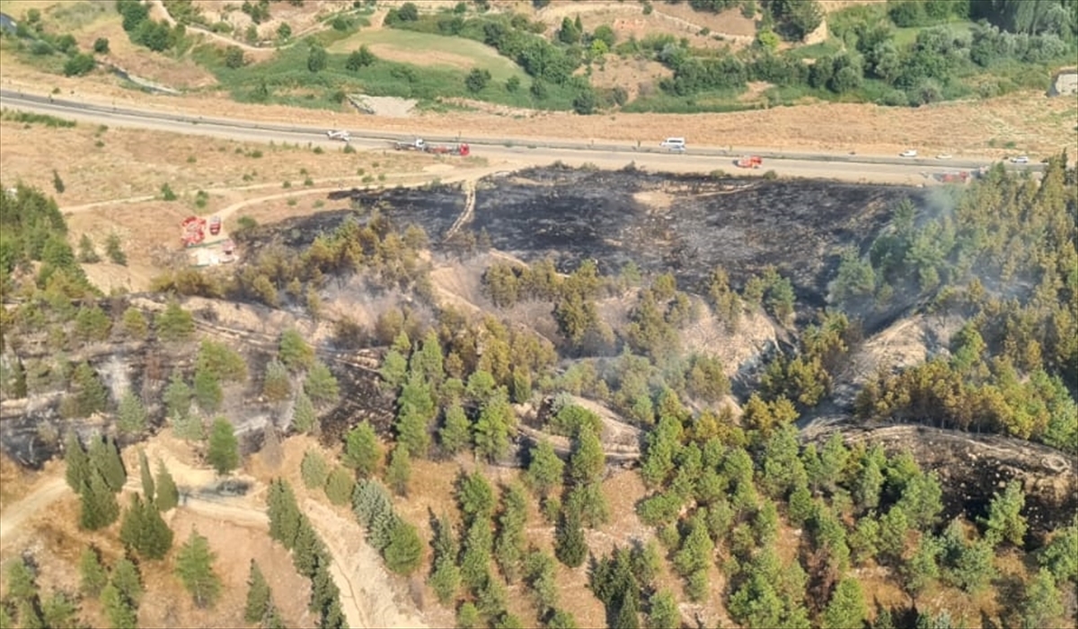 Denizli Pamukkale'deki orman yangını kontrol altına alındı