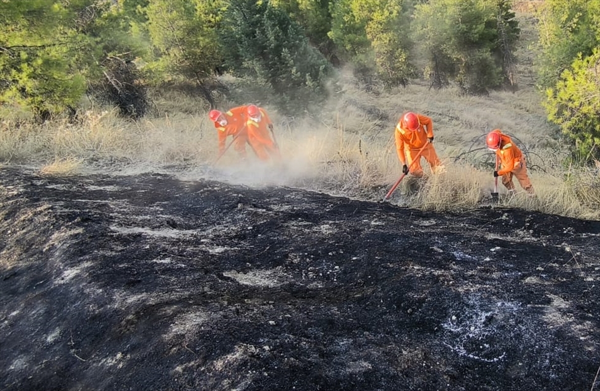 Denizli Pamukkale'deki orman yangını kontrol altına alındı
