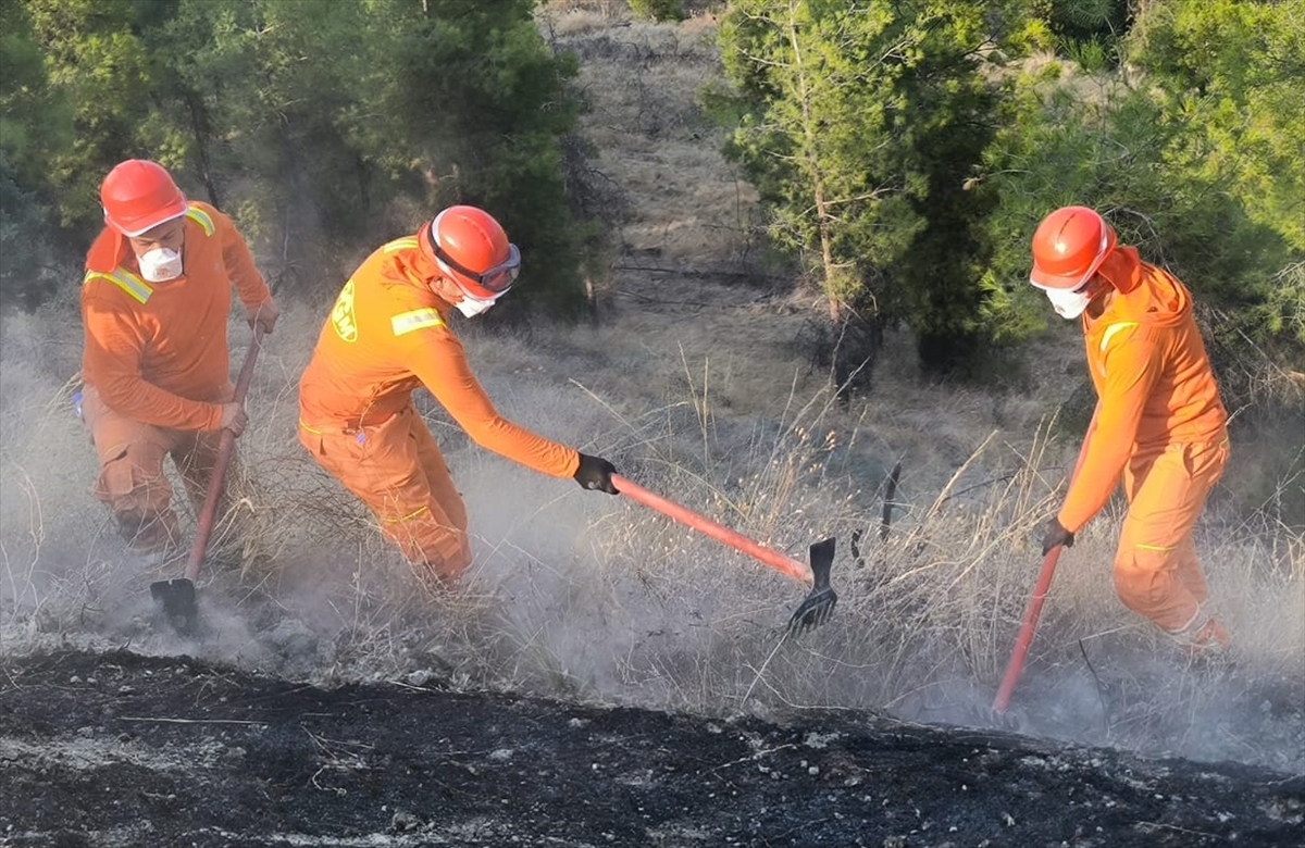 Denizli Pamukkale'deki orman yangını kontrol altına alındı