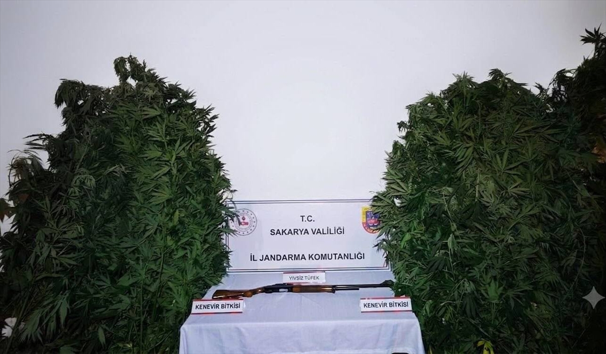 Sakarya'da uyuşturucu operasyonları: 3 zanlı tutuklandı