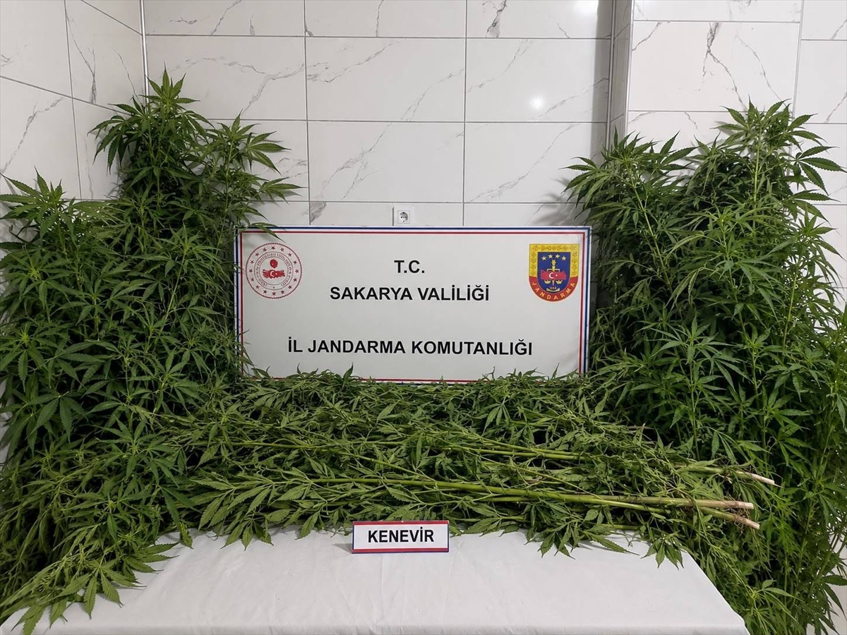 Sakarya'da uyuşturucu operasyonları: 3 zanlı tutuklandı