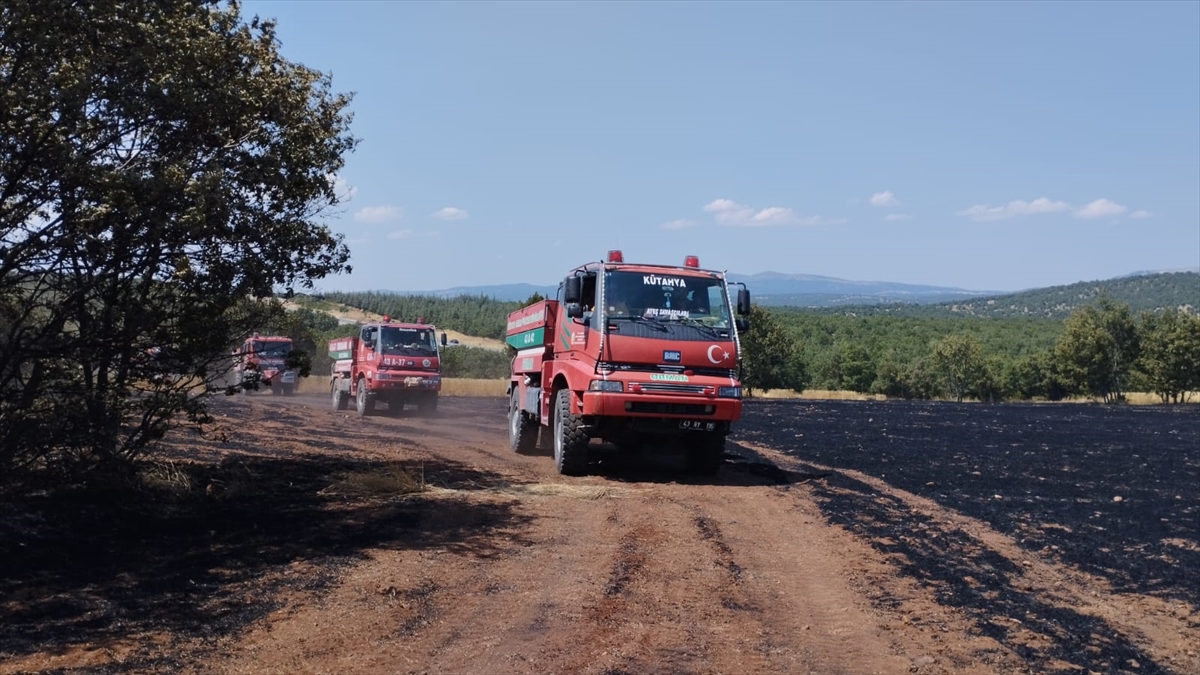 Vali Musa Işın: Kütahya'da 150 dönüm tarla ve 7 hektar orman yandı