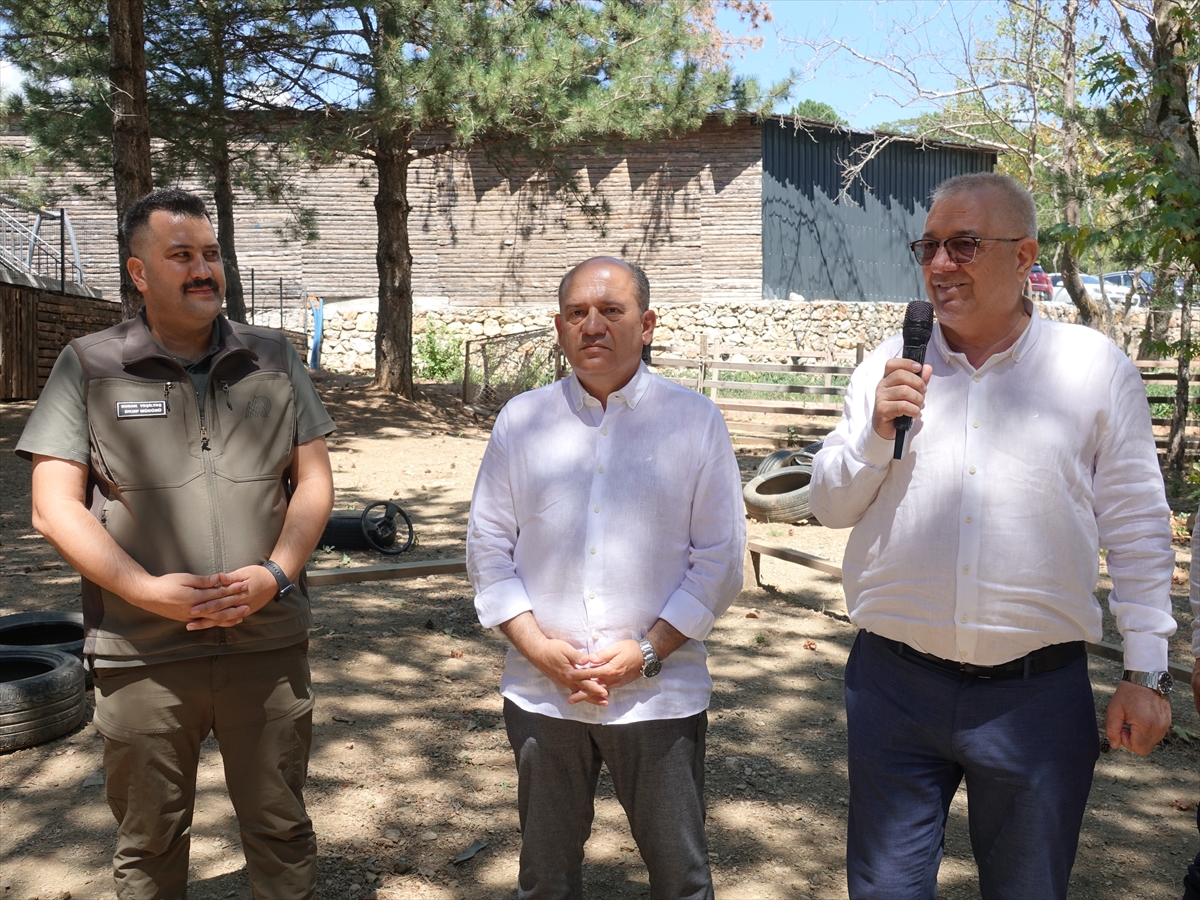 Kazdağları Aile Kampı: Edremit'te doğa ve dostluk bir arada