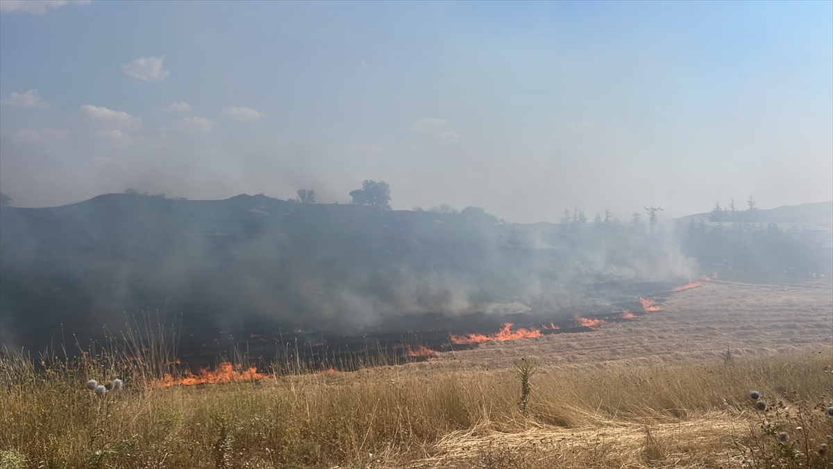 Ankara Çubuk'ta su tesisine sıçrayan yangın söndürüldü