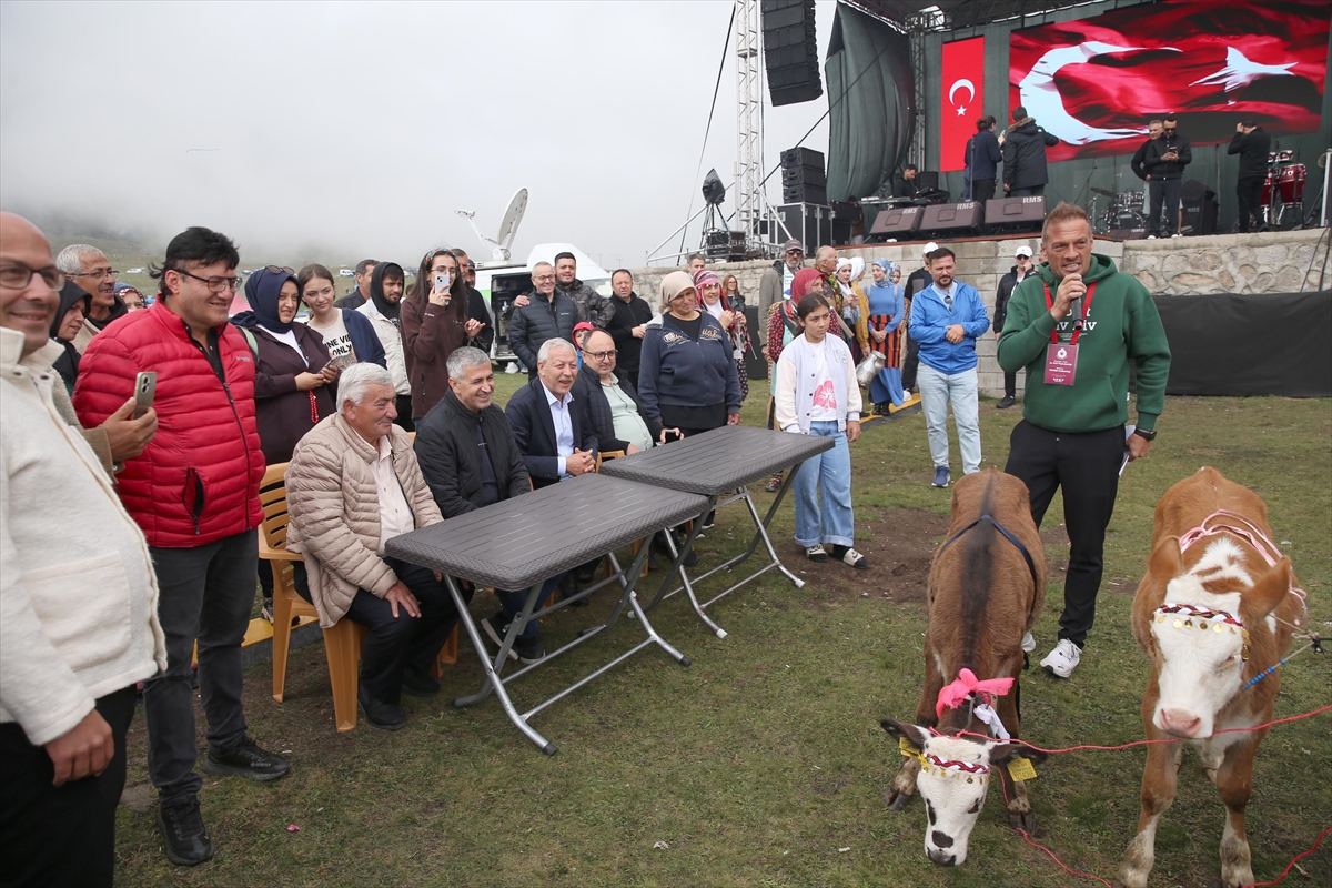 Rize Ovit Yayla Şenliği 26. kez düzenlendi: İnek yarışması yapıldı