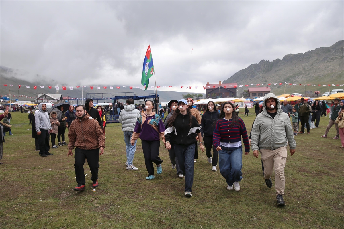 Rize Ovit Yayla Şenliği 26. kez düzenlendi: İnek yarışması yapıldı
