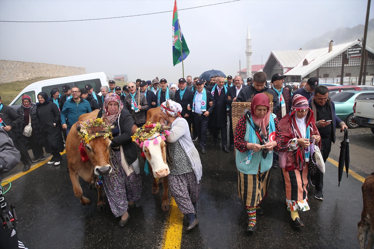 Rize Ovit Yayla Şenliği 26. kez düzenlendi: İnek yarışması yapıldı