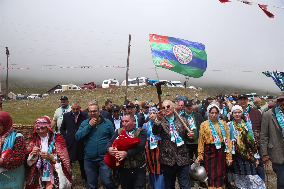 Rize Ovit Yayla Şenliği 26. kez düzenlendi: İnek yarışması yapıldı