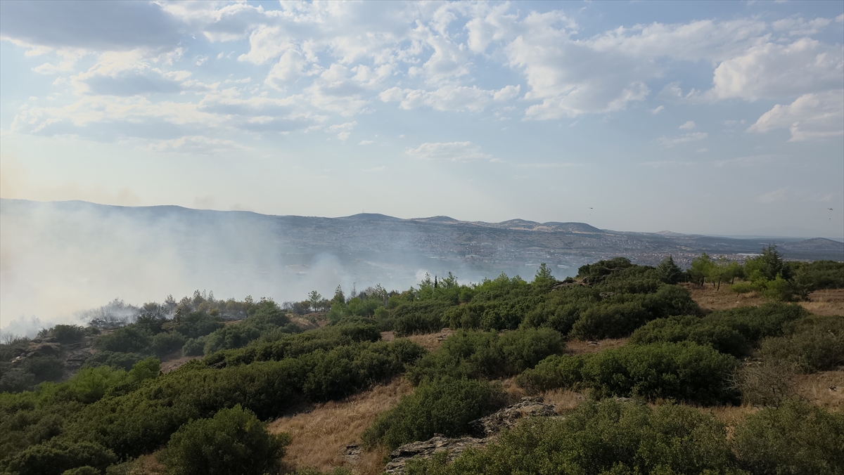 Manisa'da orman yangını: Ekipler havadan ve karadan müdahale ediyor