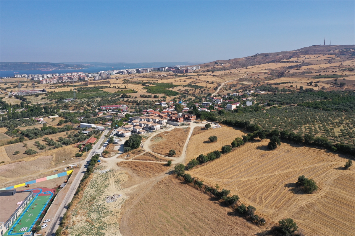Biyoçeşitliliğe zarar veren orman yangınlarının önlenmesinde kuru ot temizliği önemli