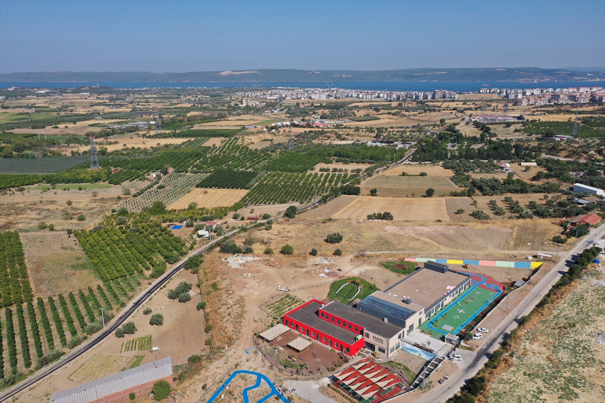 Biyoçeşitliliğe zarar veren orman yangınlarının önlenmesinde kuru ot temizliği önemli