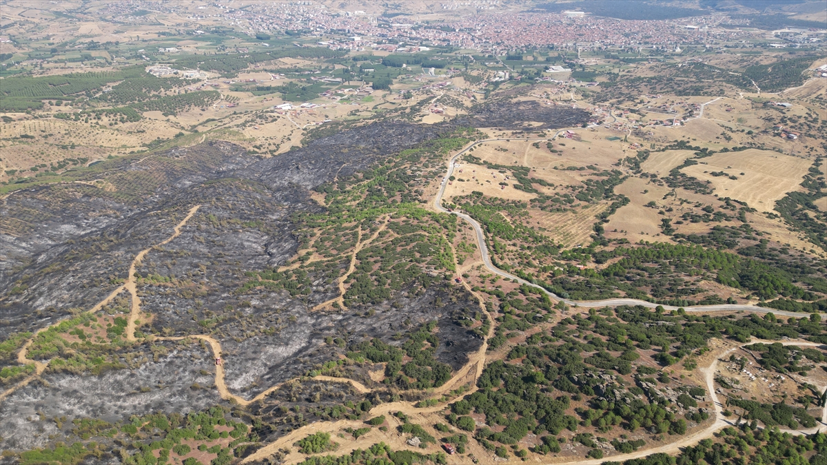 Manisa'da orman yangınında zarar gören alanlar havadan görüntülendi