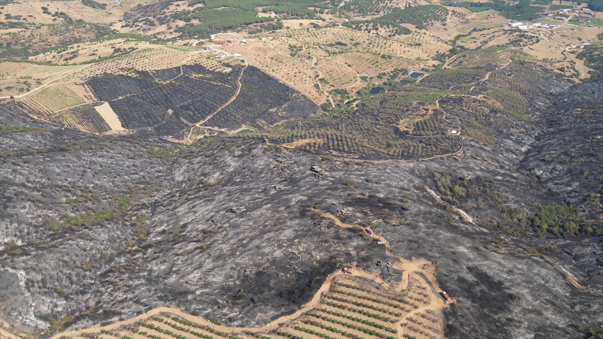 Manisa'da orman yangınında zarar gören alanlar havadan görüntülendi