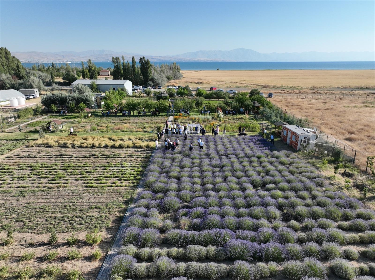 Van YYÜ Rektörü Şevli: Tıbbi Bitkiler Bahçesi Van için yeni simge