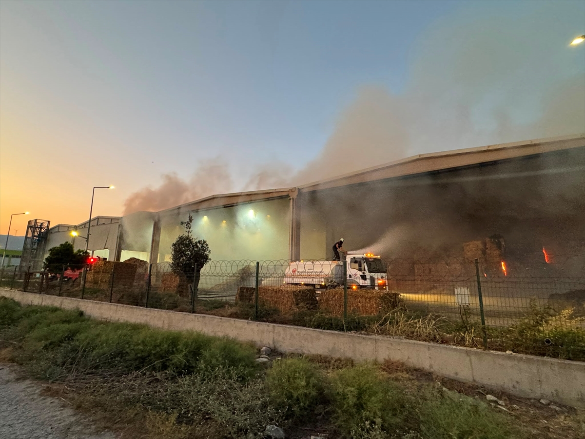 Aydın Söke'de fabrika yangını: Mısır sapı balyaları alev aldı