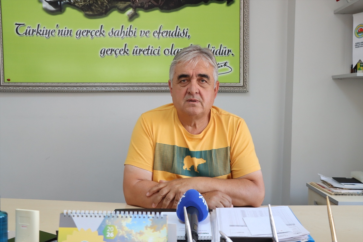 Trakya'da ayçiçeği hasadı bekleniyor: Yüksek verim umudu