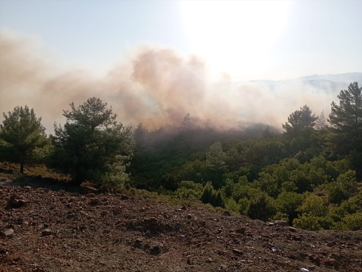 Balıkesir'de makilik alanda çıkan yangın kontrol altına alındı