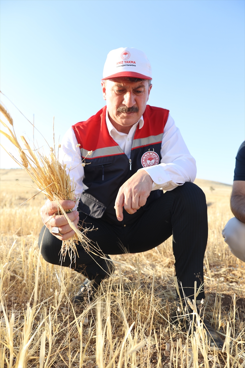 Güneydoğu'da anız yangınlarıyla mücadele sonuç veriyor