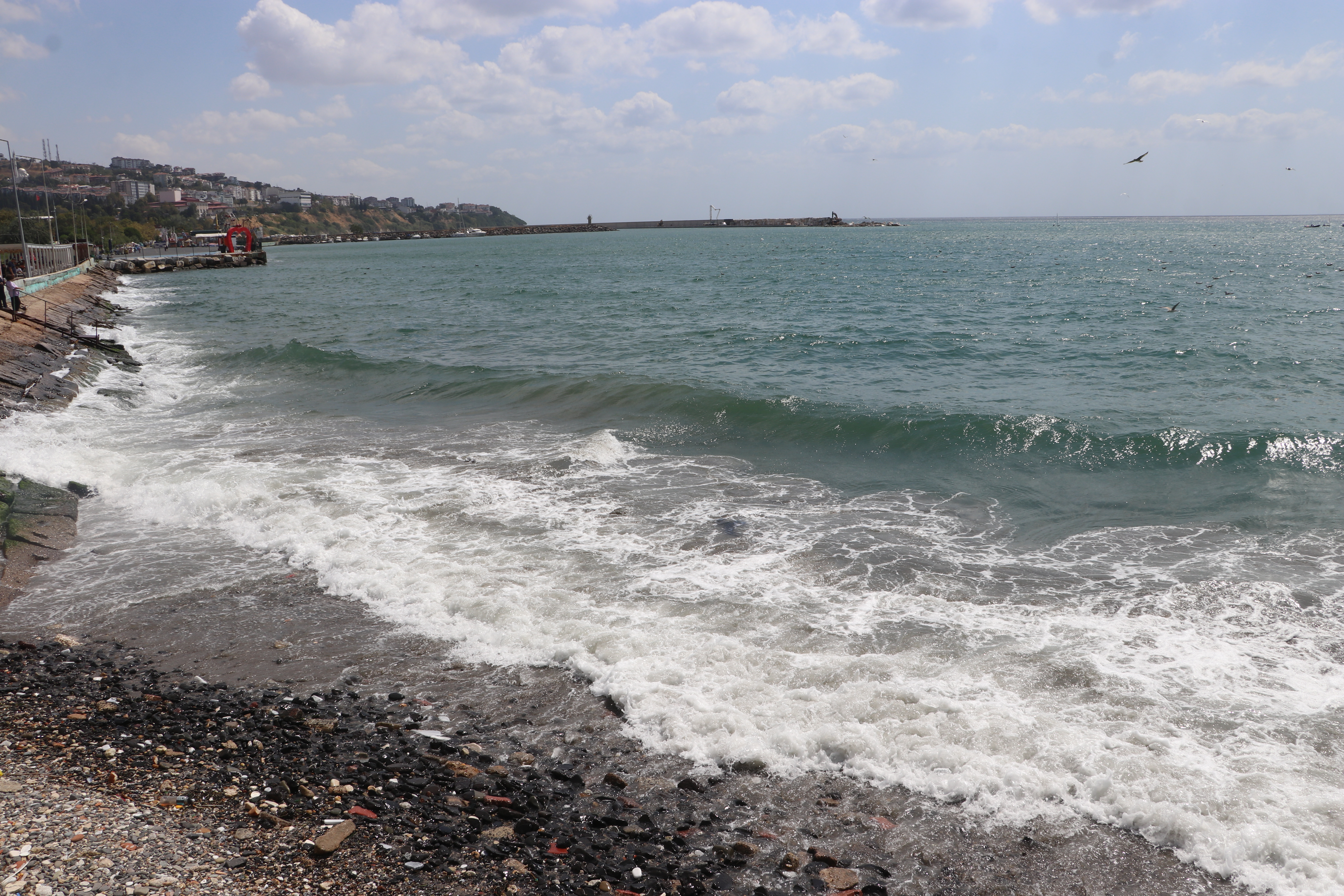 Tekirdağ'da şiddetli poyraz deniz ulaşımını aksatıyor