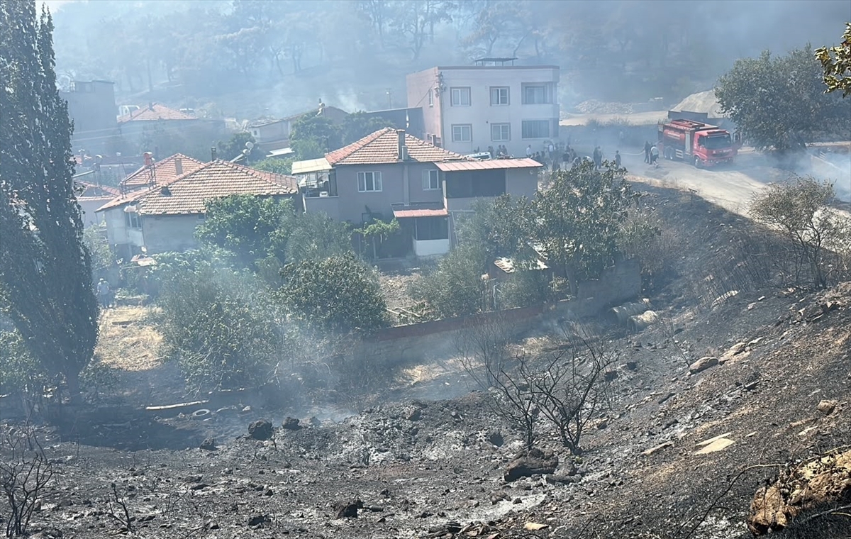 Balıkesir Edremit'te orman yangını: Ekipler müdahale ediyor