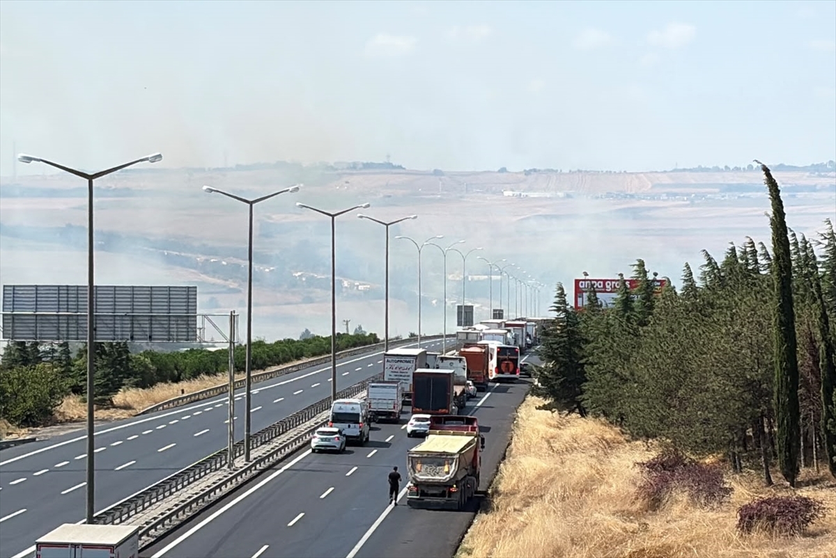 Silivri'de otluk ve ağaçlık alanda çıkan yangına karadan ve havadan müdahale ediliyor
