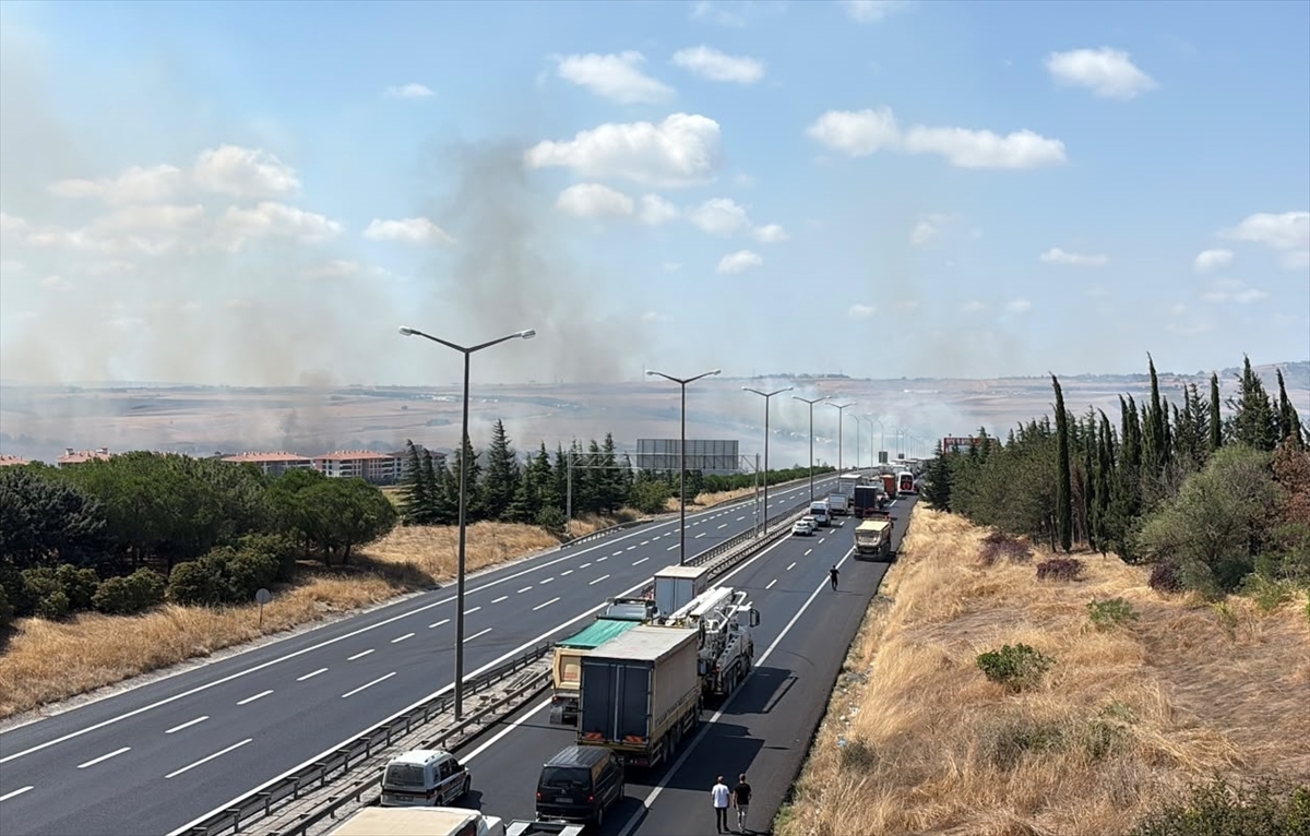 GÜNCELLEME - Silivri'de otluk ve ağaçlık alanda çıkan yangın söndürüldü