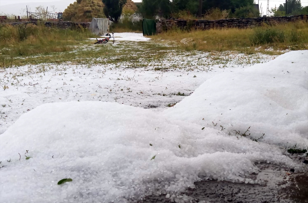 Kars'ta şiddetli dolu ve sağanak: Tarım arazileri zarar gördü