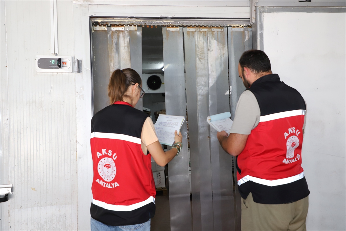 Antalya'da 1 Ton Uygunsuz Gıda Ürününe El Konuldu