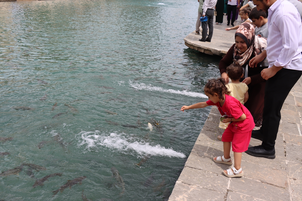 Şanlıurfa Balıklıgöl: Hafta sonu turist akını yaşandı