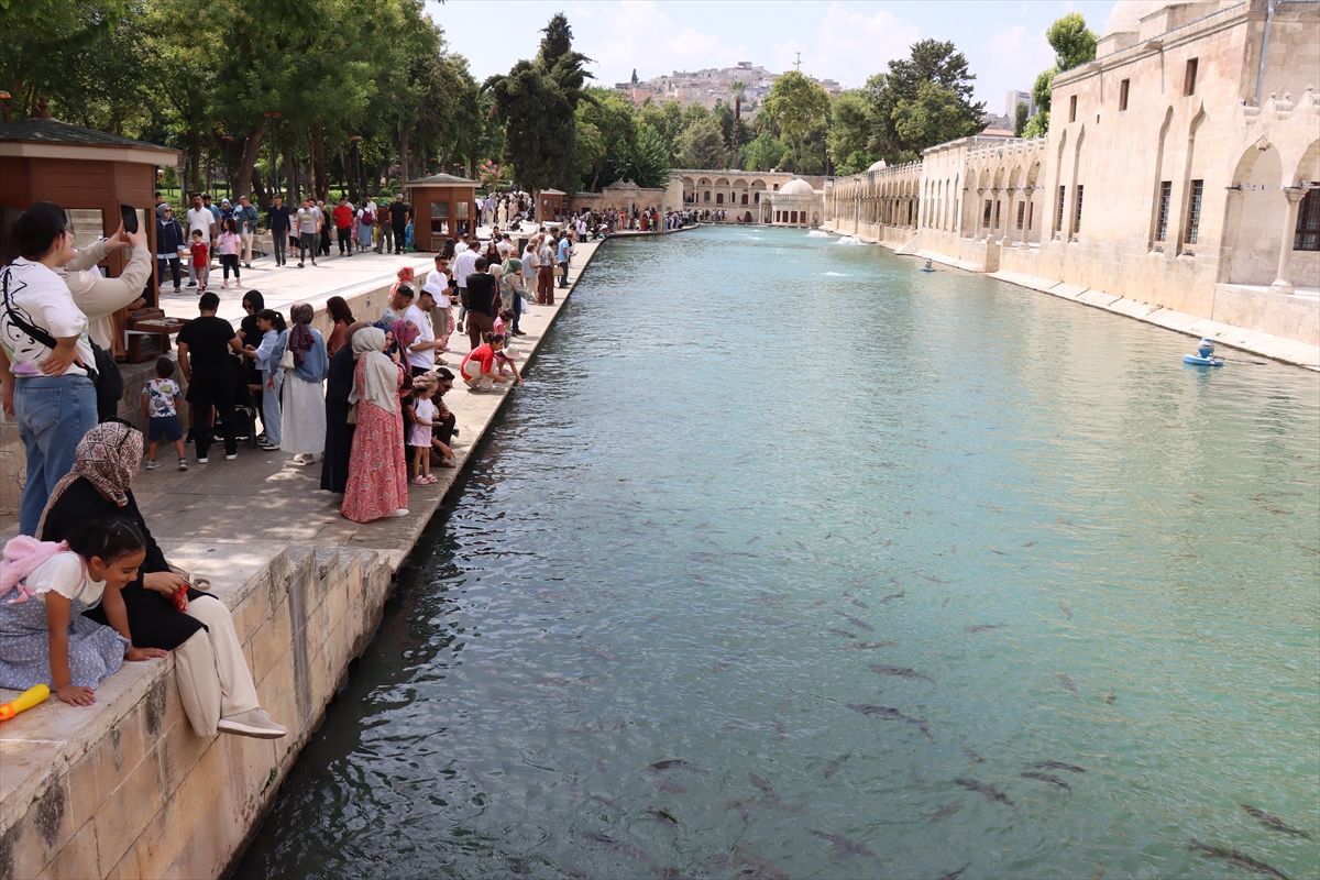 Şanlıurfa Balıklıgöl: Hafta sonu turist akını yaşandı