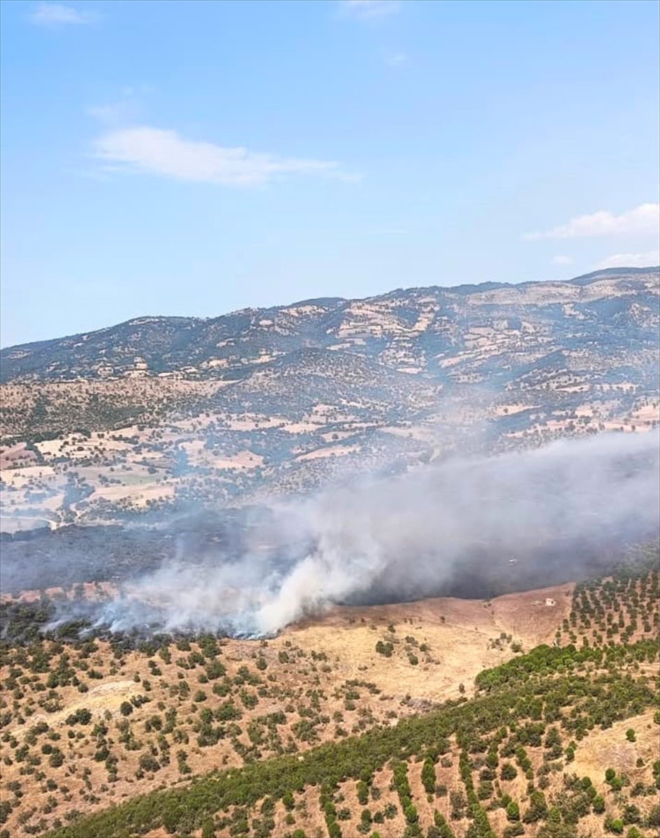 Balıkesir Sındırgı'da orman yangınına havadan ve karadan müdahale