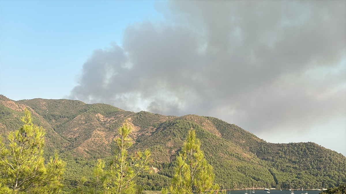 Muğla Marmaris'te orman yangınına havadan ve karadan müdahale