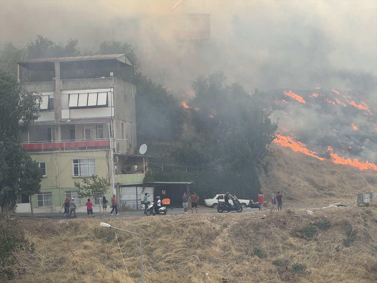 GÜNCELLEME - İzmir'de otluk alanda çıkan yangın kontrol altına alındı