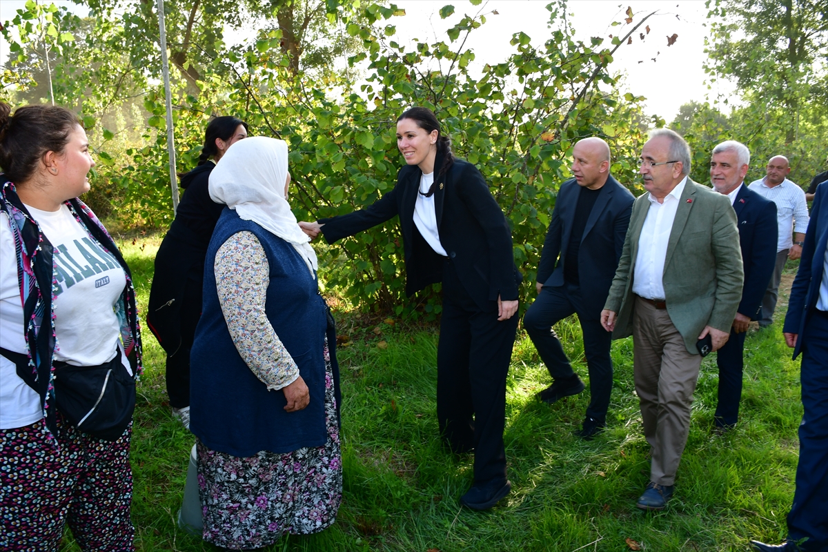 AK Parti'li Karaaslan: Terme'de esnaf ve üretici ziyareti