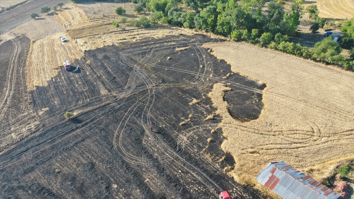 Karabük Eflani'de anız yangını ormana sıçramadan söndürüldü