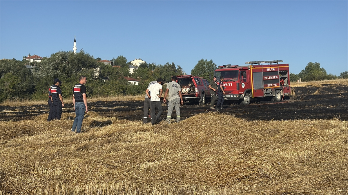 Karabük Eflani'de anız yangını ormana sıçramadan söndürüldü