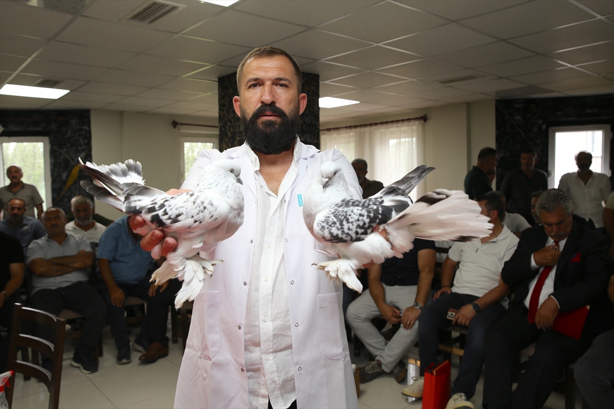 Değeri 5 milyon liraya ulaşan şebap güvercinler Erzurum'da sergilendi