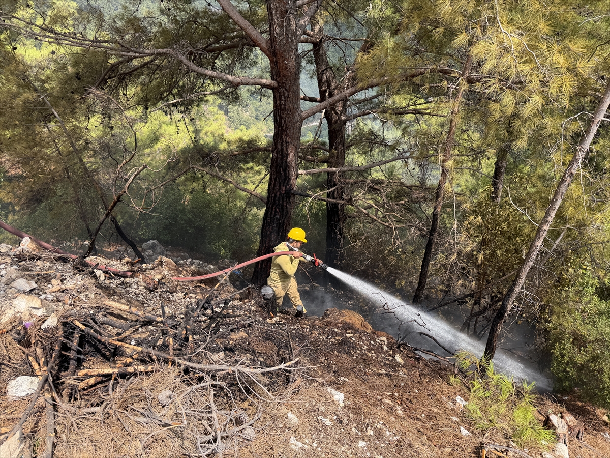 Antalya Alanya'da orman yangını söndürüldü: 1 dönüm zarar