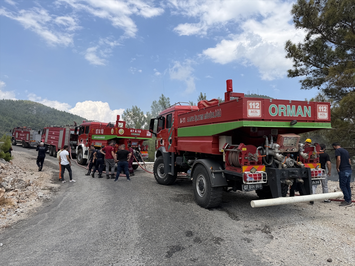 Antalya Alanya'da orman yangını söndürüldü: 1 dönüm zarar