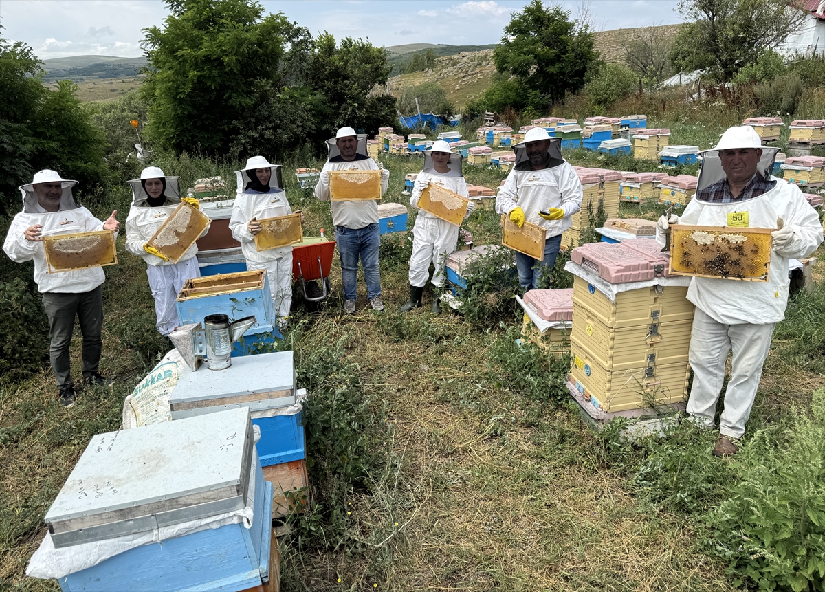 Ardahan'da yaylalardan sofralara uzanan bal mesaisinde sona gelindi