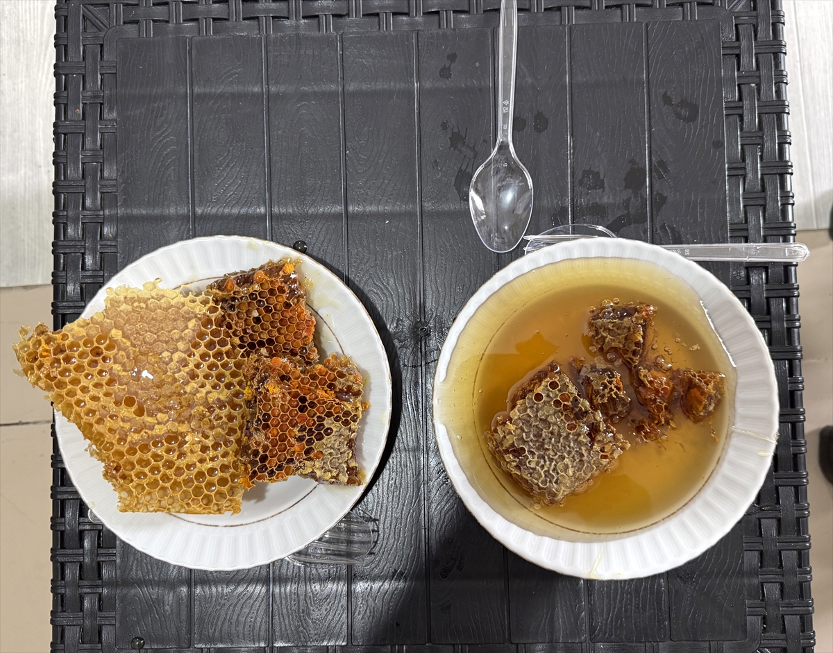Ardahan'da yaylalardan sofralara uzanan bal mesaisinde sona gelindi